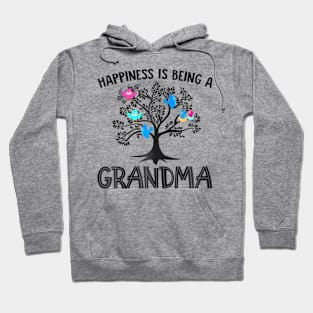 Mothers Day  Birds Happiness Is Being A Grandma Hoodie